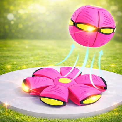 Norindo BounceBall - Interactieve Speelbal voor Huisdieren