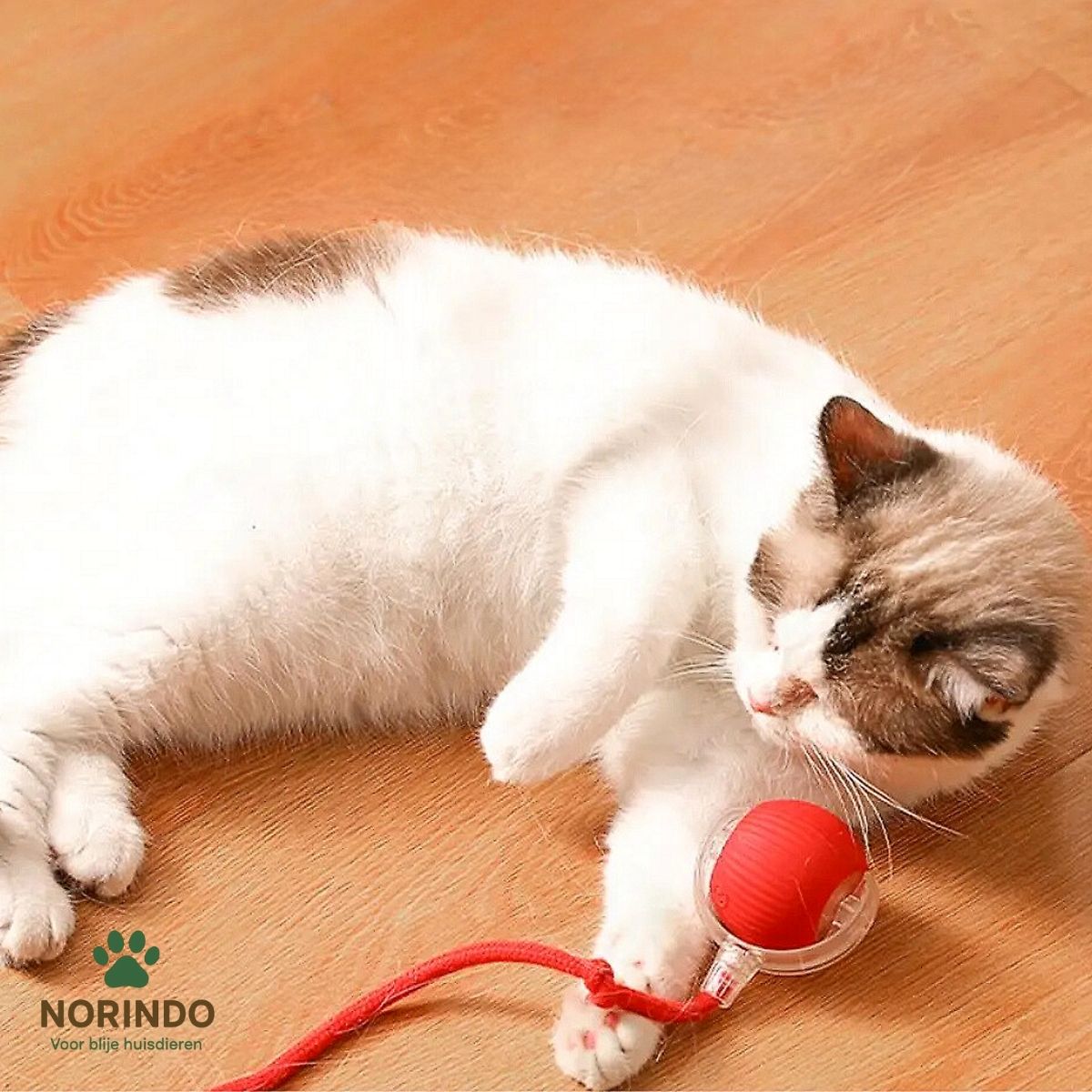 Norindo MovingMouse – Speel, jaag en beweeg
