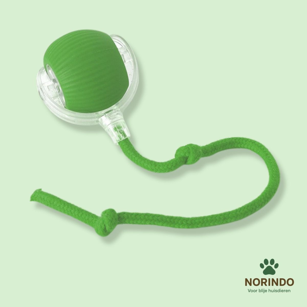Norindo MovingMouse – Speel, jaag en beweeg