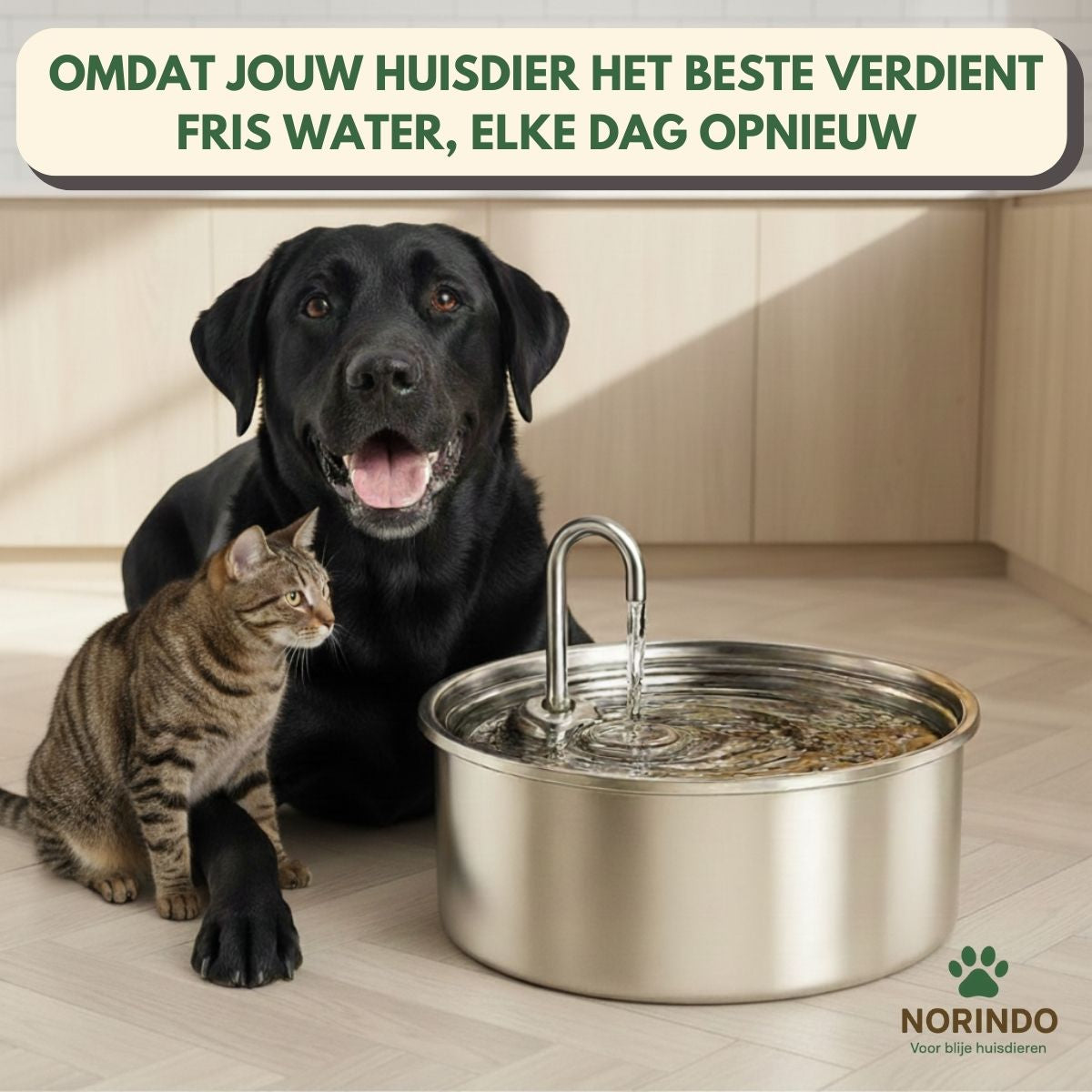 Norindo ForestFlow – Fris stromend water voor gelukkige viervoeters